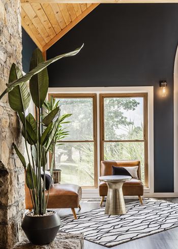 A living room with a large window and a plant in a pot.